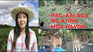 UPDATE SA PAG-AALAGA NG ATING MGA HAYOP I MEDYO NAAPEKTUHAN ANG IBANG MGA ALAGA DAHIL SA ULAN