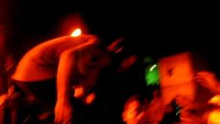 Devendra Banhart with crowd