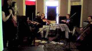 Animal Collective - Mercury Man STRING QUARTET Cover Mary Bichner & Triple Strung