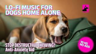 STOP DESTRUCTIVE CHEWING! 10 HOURS Lo-Fi Music for Dogs Home Alone 🐾 Anti-Anxiety Aid