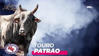 Touro Patrão da Cia. Paulo Emilio