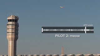 Pilots caught meowing on hot mic at Reagan National Airport