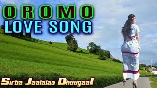 Oromo Music - Personal Valentine 💘 💘 💘 song! - Sirba jaalalaa dhugaa - Taajuu Shurrubbee oromo music
