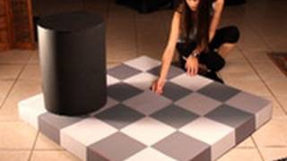 Incredible Shade Illusion!