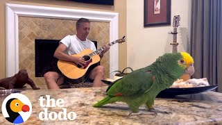 Bird Hated His Dad Until They Started Playing Music Together | The Dodo