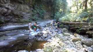 Kanaka Creek Walk