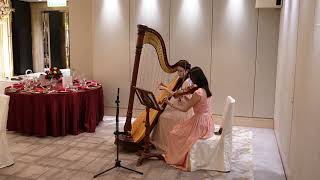 Once Upon A Dream - Harp & Violin Duet