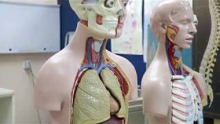 Gastrointestinal System MOOC Promo Video