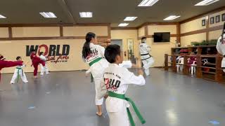 Taekwondo Belt Test Green-Purple