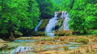 Relaxing Music For Stress Relief, Anxiety and Depressive States🌿 Heal Mind, Sleep Music 1