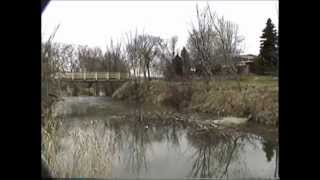 Beaver Invasion