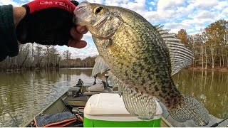 Can Winter Crappie FISHING in the Shallows REALLY Land You More Black Crappie?