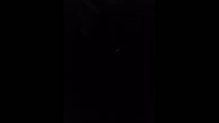 Diebilo 2 - project x 2016