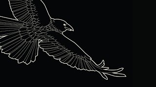 mxrningstar - хүн ft. Céline Dessberg (lyric video)