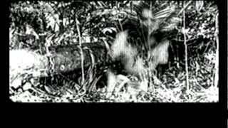 SENSORY DEFECT ;;;   broken vessel