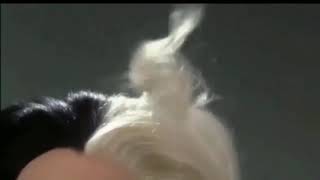 102 Dalmatians Dogs