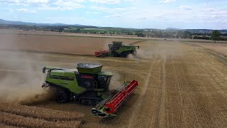 CLAAS LEXION 795 Monsteredition |Deutschland | Big harvest