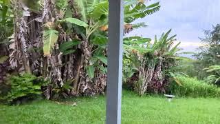 My room at The Douvris farm and Pahoe Hawaii where I can see the Pacific Ocean?