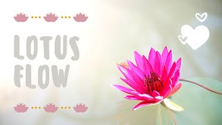 ૐ 𝒱𝒾𝓃𝓎𝒶𝓈𝒶 𝐹𝓁𝑜𝓌｜𝐿𝑜𝓉𝓊𝓈 𝒫𝑜𝓈𝑒 𝒶𝓃𝒹 𝑀𝓊𝒹𝓇𝒶 ૐ