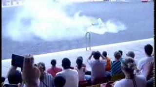 Stunt Show Accident