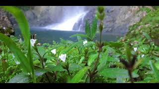 The "Band Unknown" penny Lover - cover - Lionel Richie