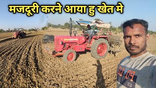 गेहूं के खेत मे मजदूरी करने आया हु Raikwar vlogs