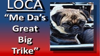 Loca the pug sings again................"Me Da's great big trike"