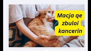 The cat who discovered cancer before the doctors