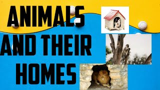 Animals and their Homes
