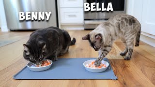 Shrimp for breakfast