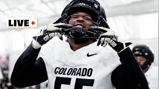 BuffStampede Radio Live: Which 2026 Buffs are primed to blow up?