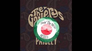 The Gallerys - Paisley