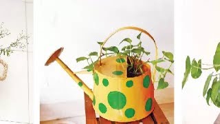 শৈল্পিক পরিবেশনে গাছ | cactus interior | Flower Pot Idea | DIY Projects | Handmade Things bangla