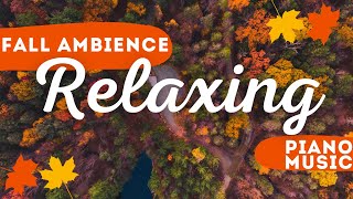 Immerse Yourself in the Calm of Fall Forest Ambience and Piano Melodies