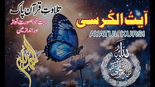 Ayatul Kursi | آیت الکرسی |  اذکار الصباح #quran #ayatulkursi