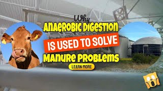 Dairy Digesters - Why Anaerobic Digestion is Used to Solve Problems with Manure in US Dairy Farming