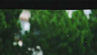 Roo Panes - The Summer Isles (Reimagined by Philip Daniel) (Official Visual)