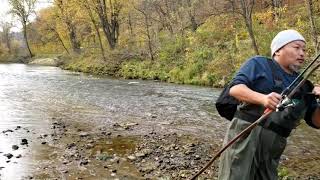 Trout Fishing Fall 2020