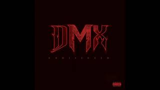 DMX I'm Back