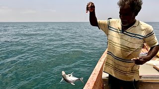 Back to Back Giant Trevally Caught in the Deep Sea