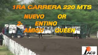 AMIGUITO QUEEN HIPODROMO BAJO DE CORRALES 17 12 2022