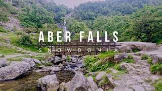 Forest Nature Sounds Relaxing Waterfall Birds Chirping Sleeping Sound Water & Birdsong Meditation