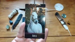 New Moon Reading for January 2023 - Accept Abundance into your Life as you Receive Blessings...