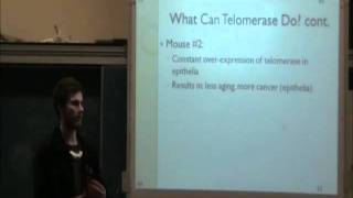 Telomere: Size Matters Part 2