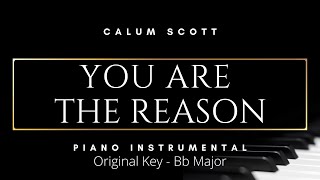 You Are the Reason - Calum Scott (Piano Instrumental Karaoke Track) [Original Key of Bb Major]