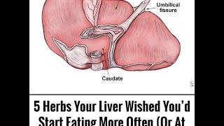 5 Herbs Your Liver Wished You’d Start Eating More Often Or At Least Try!