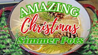 COZY Christmas Simmer Pot Recipes and Ideas, You Will WANT to Try